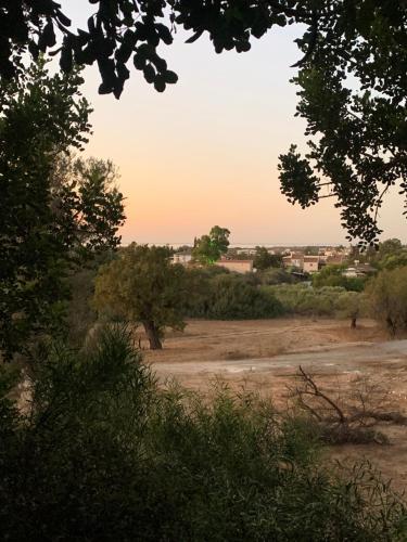 Tranquil Poolside apartment with stunning views in Mazotos