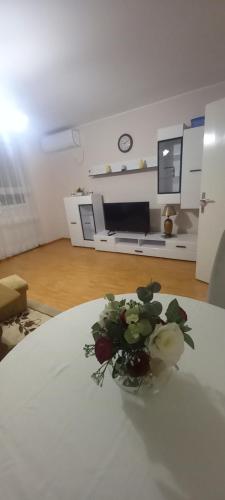 Adisaaa, Goražde
