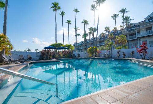 泳池, Holiday Inn Hotel & Suites Clearwater Beach South Harbourside By IHG in 印地安巖海灘 (FL)