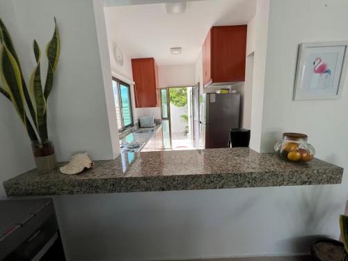 Casa Cocodrilo, Xtampú (foto 6)