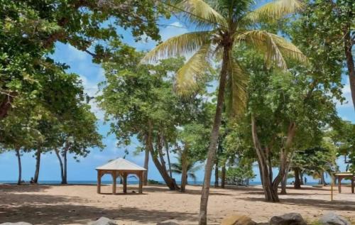 Le Cataleya in Sainte Rose