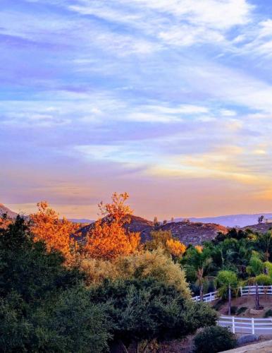 景觀, Alpine's Gorgeous Guest Home in 阿爾派恩 (CA)