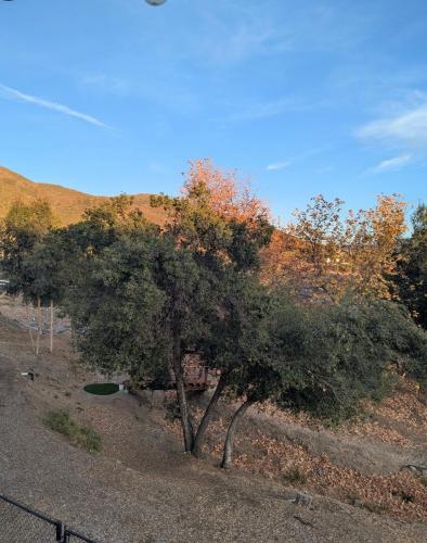 周邊環境, Alpine's Gorgeous Guest Home in 阿爾派恩 (CA)