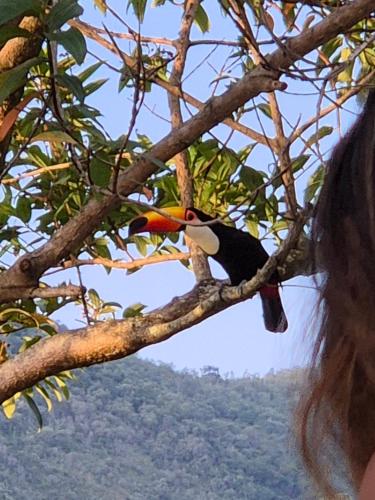 Sítio Recanto da Paz Casa Amarela