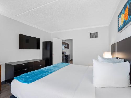 OASIS BAY SUITES, Tampa, Busch Gardens, USF in Tampa, USA