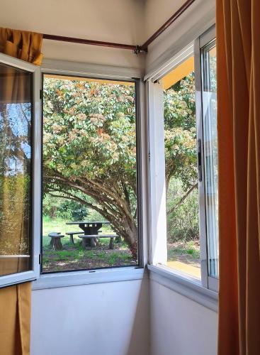 Skats, La Arboleda in La Bolsa