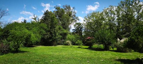 Dārzs, La Arboleda in La Bolsa
