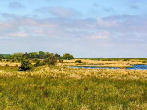  6 person holiday home in Rødby-By Traum in Rødby