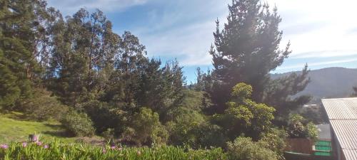 CAP Gestiones Inmobiliarias