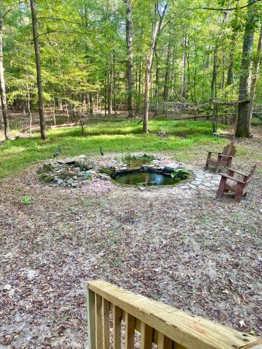 Dome Hideaway on 5 Acres-close to Carbarro & CH in 北卡羅來納州梅賓 (NC)