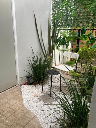 Apartment in Briones, Coatepec, Veracruz, Coatepec (fotografie 3)