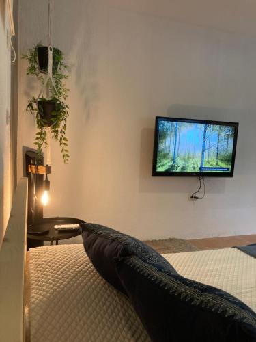 Apartment in Briones, Coatepec, Veracruz, Coatepec (fotografie 10)