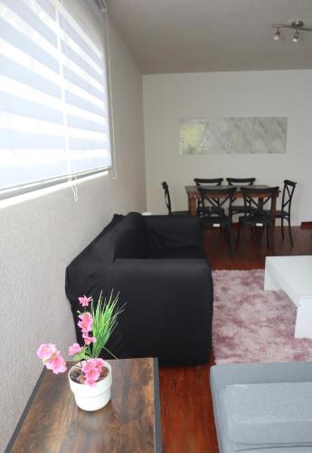 Spacious apartment in Anzures