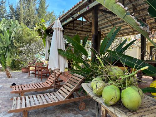 Orchid Homestay in Phan Thiet