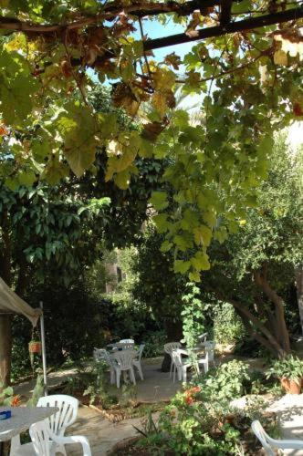 Hotel Lodi - image 9