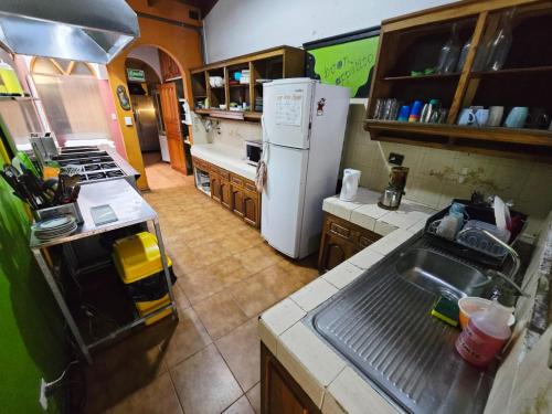 Kitchen, Mangifera Hostel in Grecia
