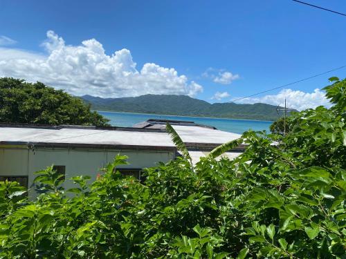 小浜島カーリー商會