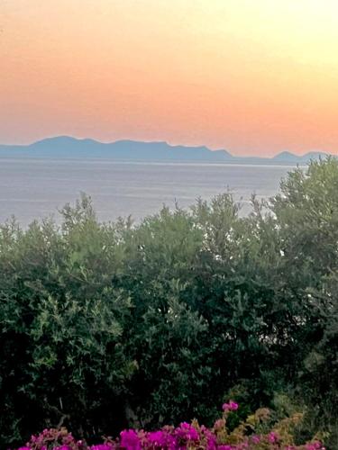 Judy holiday house in อุสติกา