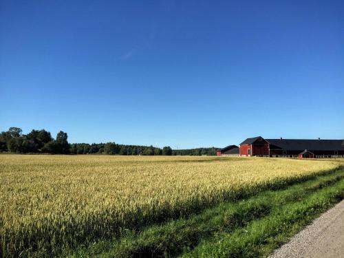 Pensionat Hogården - image 13