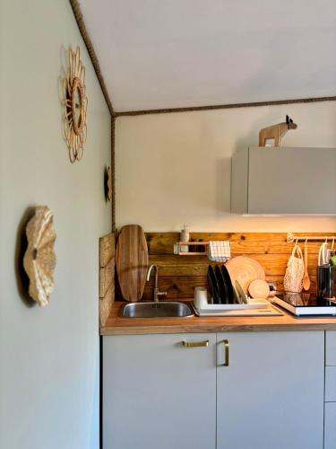 virtuve, Les Rives De Bel Air - Hébergements - Camping - Caravaning (Les Rives De Bel Air - Hebergements - Camping - Caravaning) in Vauce