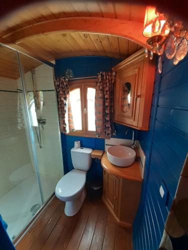 Roulotte Cosy les Roseaux bleux in Verseilles-le-Bas