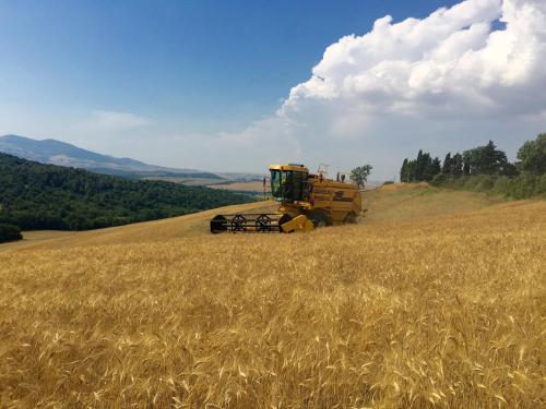 Agriturismo L'Antica Quercia