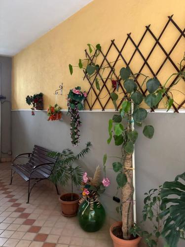 B&B del Corso, Vitulazio Caserta in Вітулаціо