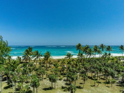 Wish House - Private Beach House Double Bay Beach home in North Palmetto Point