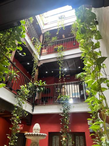 Hostal Al-Andalus - image 5