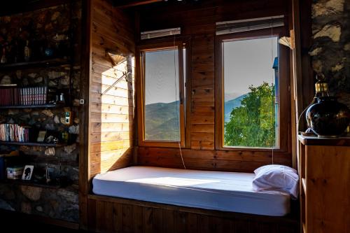 Kleio in 엘라피나