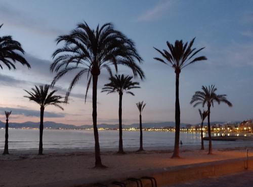 Dorada Relax, Calafell (foto 10)