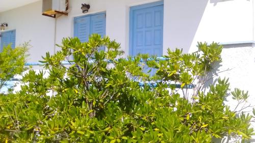 Beach Lichna gîte à louer Nísos Límnos