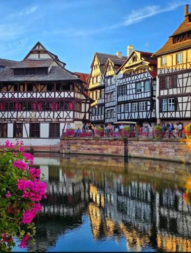 Appart Centre-ville, Cathédrale, Petite France, Strasbourg (photo 6)