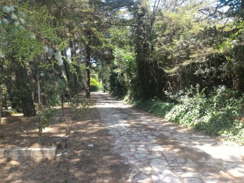 B&B Masseria la Fiorita