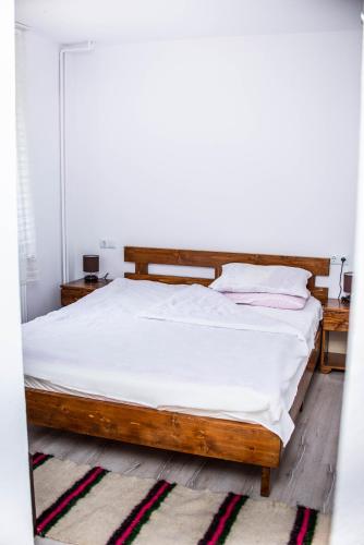 Pensiunea Mateș (Pensiunea Mates) in Horea