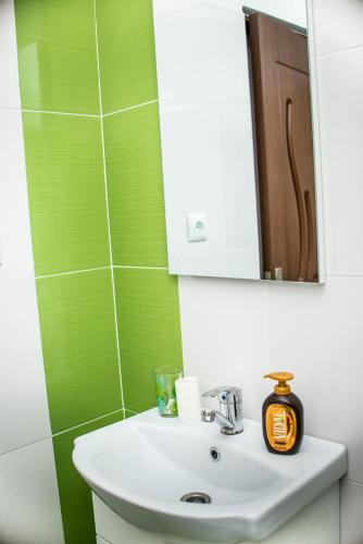 Pensiunea Mateș (Pensiunea Mates) in Horea