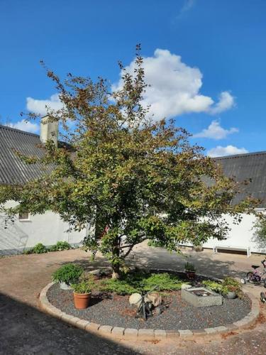 UNIKT studio med PRAGTFULD udsigt og absolut RO in เฟรเดริคชาฟน์