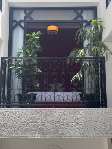 Riad Looma - image 3