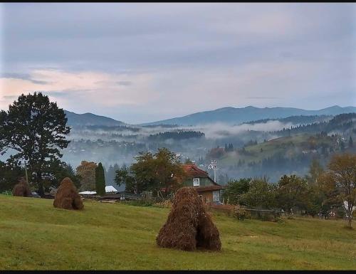 Садиба 'Віраж', Vorokhta (foto 10)