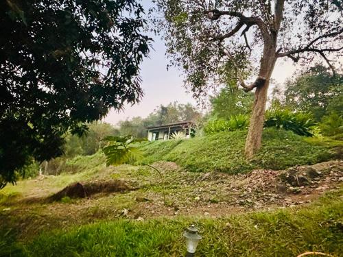 Surrounding environment, The Lookout, Hilltop Cottage in Curtorim