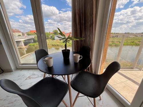 Apartament nad Wartą Śrem (Apartament nad Warta Srem) in Srem