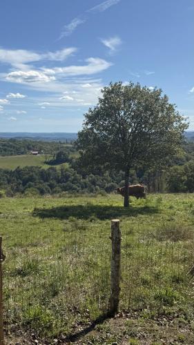 Villa Calme & Moderne au Verdier 7 Personnes in Beaulieu-sur-Dordogne