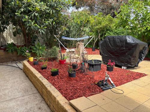 Sunflower Homes Green and Cozy in Modbury