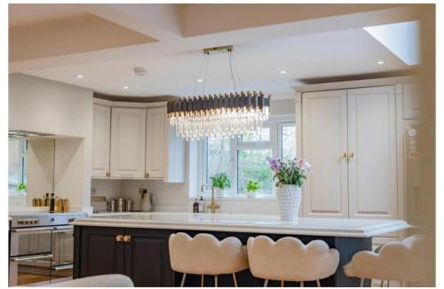 The Wellness Retreat Sauna Ice Bath & Hot tub in Netley