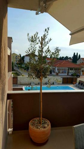 Apartment with Pool View