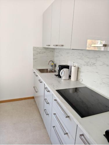 Kitchen, Apartments - RX in Liebenau