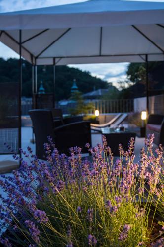 Prezident Luxury Spa & Wellness Hotel - image 2