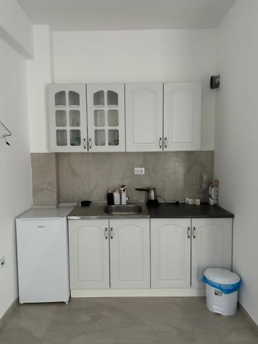 Mirror Apartments in Petrovec