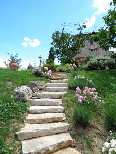 Agriturismo La Torraccia - image 14