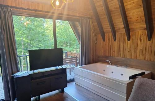 ıtenıcı konaklamalı orman park